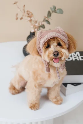 Шапка Pet Fashion Valley для собак розмір S: додаткове фото 6