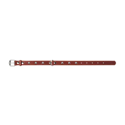Нашийник "CoLLaR" одинарний з прикрасами (ширина 20мм, довжина 32-40см) коричневий: додаткове фото 3