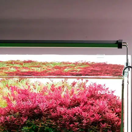 Світильник Chihiros B-Series B60 LED 60-80 см розумне RGB-освітлення для акваріума: додаткове фото 6