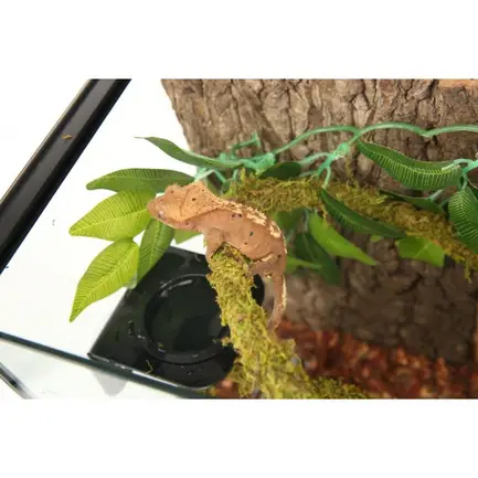 Ліана з натуральним мохом Repti-Zoo 1,5см x 2м (RV0215): додаткове фото 7