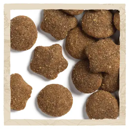 Сухий корм DOG CHOW Large Breed Puppy <2 для цуценят з індичкою 14 кг: додаткове фото 9