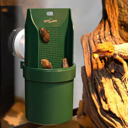 Підвісна годівниця для рептилій Repti-Zoo Arboreal Feeding Dish 20см (ERB28): додаткове фото 8
