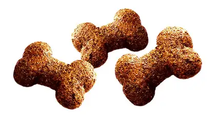 Ласощі для собак Brit Care Dog Crunchy Cracker Insects для травлення, комахи, ягня і малина, 200 г: додаткове фото 2
