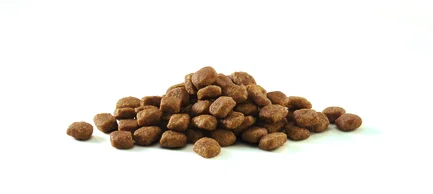 Сухий корм PURINA ONE Sensitive для дорослих котів із чутливою системою травлення комплекс Bifensis з індичкою 800 г: додаткове фото 6
