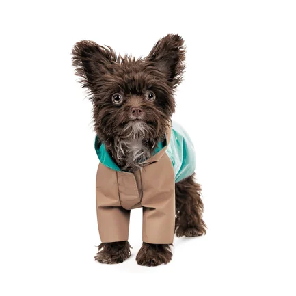 Дощовик Pet Fashion Semmy для собак розмір S: додаткове фото 2