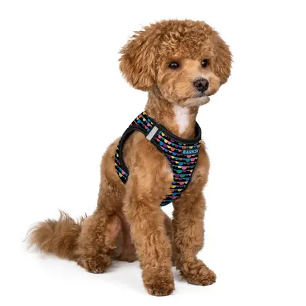 Шлея для Собак Barksi Sport Vest Бульки M: додаткове фото 2