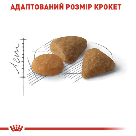 Сухий корм Royal Canin EXIGENT SAVOUR для котів всіх порід 10 кг: додаткове фото 5