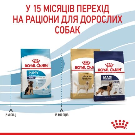 Сухий корм Royal Canin MAXI PUPPY для цуценят великих порід 1 кг — Фото 5