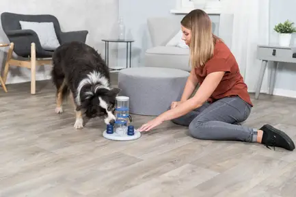 Іграшка Trixie Dog Activity Gambling Tower Башта для собак, інтерактивна розвиваюча, 25/33 см (пластик): додаткове фото 5