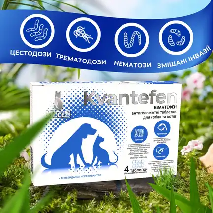 Квантефен (Kvantefen) антигельмінтні таблетки для собак та котів 1 таб на 10кг (4 табл.), MODES: додаткове фото 2