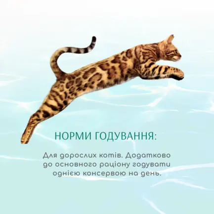 OPTIMEAL™. Б`ЮТІ ФІТНЕС. Консерв корм д/котів “Смугастий тунець у соусі з креветками",0,07 кг: додаткове фото 4