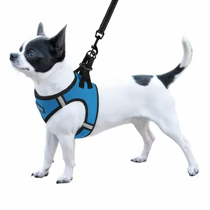 Шлея для собак Barksi Sport Vest неопрен 3D сітка блакитна M: додаткове фото 3
