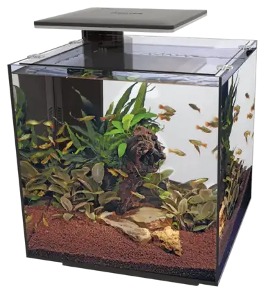 Акваріумний набір SuperFish QubiQ 60 LED Black (A4050905)