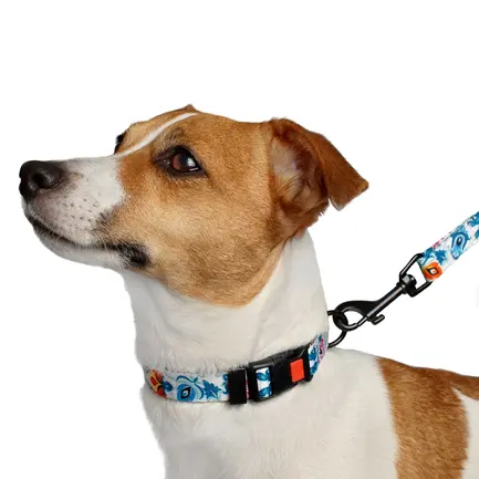 Повідець для собак BronzeDog Urban Folk білий нейлоновий XL