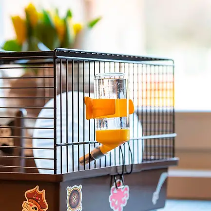 Ferplast CAGE CRICETI 9 PIRATES BLACKx2 Клітка для хом'яків з декором: додаткове фото 8