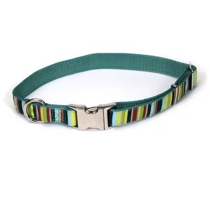 Coastal Pet Attire Ribbon КОСТАЛ РІББОН нашийник для собак, 2.5х46-66см Мультиколор