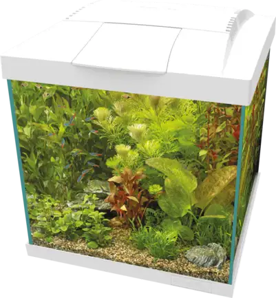 Акваріумний комплект - SF START QUBE 30 KIT WHITE (A4052355)