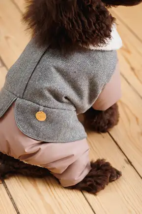 Костюм дівчинка Pet Fashion Twiddy S для собак: додаткове фото 4