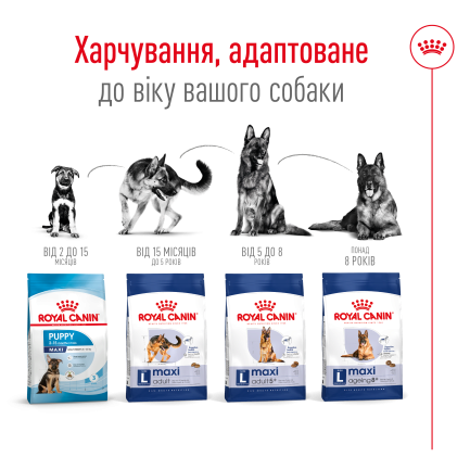 Сухий корм Royal Canin MAXI ADULT 5+ для собак зрілого віку великих порід 15 кг — Фото 1