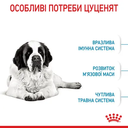 Сухий корм Royal Canin GIANT JUNIOR для дорослих собак гігантських порід 15 кг: додаткове фото 4