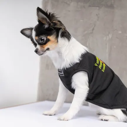 Борцівка Pet Fashion «FBI» для собак, розмір S, чорна: додаткове фото 5
