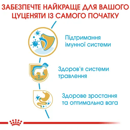 Сухий корм Royal Canin LABRADOR PUPPY для цуценят породи Лабрадор 3 кг: додаткове фото 3