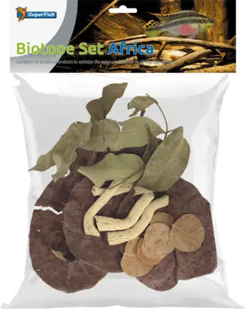 Листя катаппи BIOTOPE SET AFRICA (A4080450)