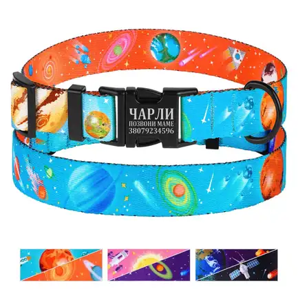 Нашийник для собак BronzeDog Urban Cosmos нейлоновий з металевою пряжкою Блакитний XL: додаткове фото 4