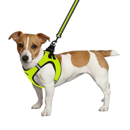 Шлея для собак Bronzedog Mesh Vest 3D сітка лимонна L: додаткове фото 4