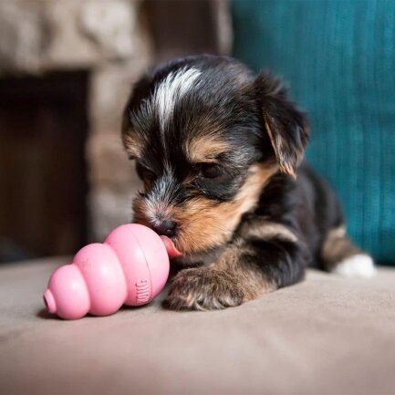 Іграшка KONG Puppy груша-годівниця для цуценят мініатюрних порід, XS — Фото 3