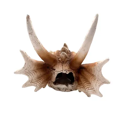 Декорація череп дракона Hobby Dragon Skull L 28,5×21,5×19,5см для акваріума і тераріума (32076): додаткове фото 4