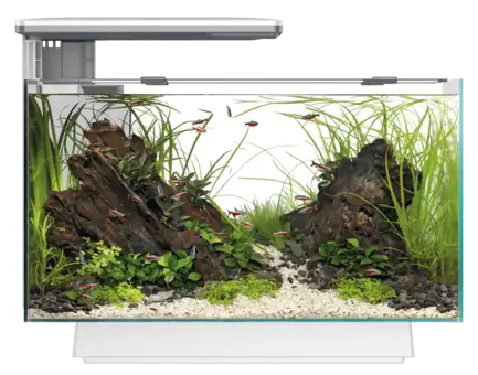 Акваріум скляний - Superfish Quadro 40 Multi Colour WHITE (A4052210): додаткове фото 2