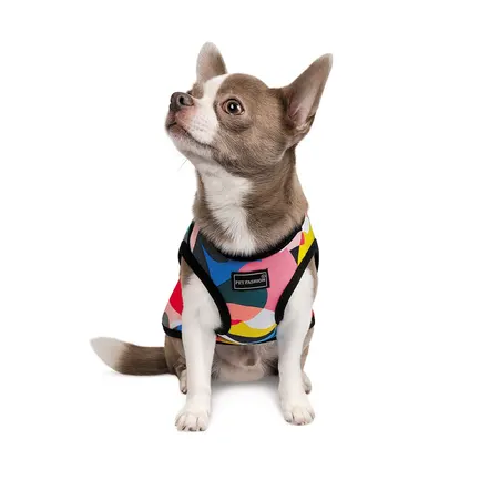 Борцівка Pet Fashion «Cool» для собак, розмір XS2, з принтом: додаткове фото 2