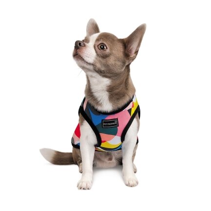 Борцівка Pet Fashion «Cool» для собак, розмір M, з принтом — Фото 1