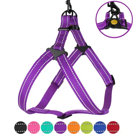 Шлея для Собак BronzeDog Active Нейлонова зі Світловідбиттям Фіолетова L: додаткове фото 6