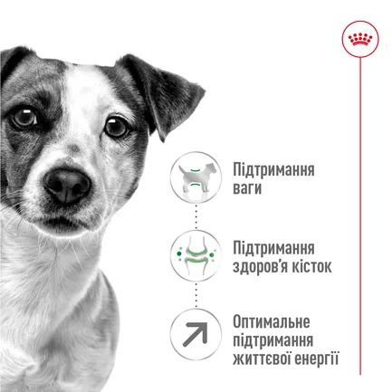 Сухий корм Royal Canin MINI ADULT 8+ для собак зрілого віку малих порід 0,8 кг: додаткове фото 5