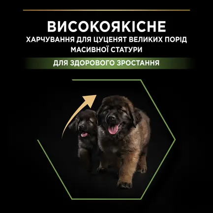 Сухий корм PRO PLAN Large Robust Puppy <2 Healthy Start для цуценят великих порід масивної статури з куркою 12 кг: додаткове фото 5