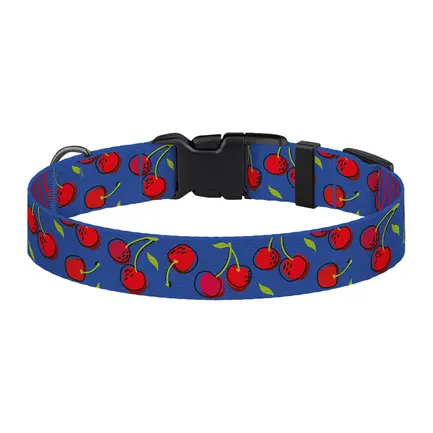 Нашийник для Собак BronzeDog Urban Fruits Нейлоновий з Пластиковою Пряжкою Вишні L: додаткове фото 3