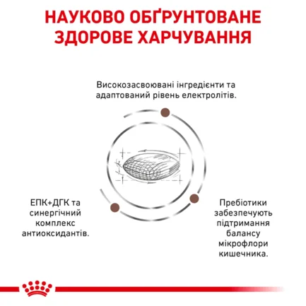 Дієтичний сухий корм Royal Canin GASTROINTESTINAL LOW FAT DOG для собак 6 кг: додаткове фото 3