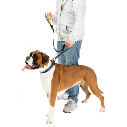 Ferplast SPORT DOG MATIC G25/120 PINK Повідець з автомат карабіном, нейлон: додаткове фото 2
