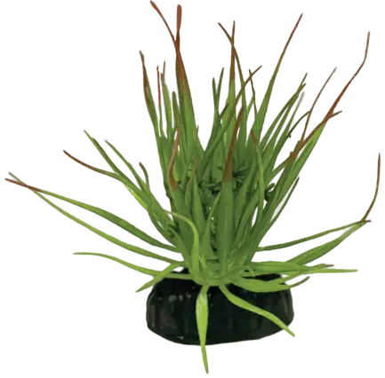 REPTO PLANT TILLANDSIA ION (R5100565) Штучна рослина для тераріума