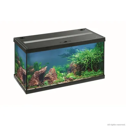 Акваріумний комплект Eheim aquastar 54 LED чорний (0340645): додаткове фото 2