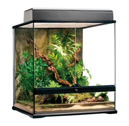 Тераріум Exo Terra Natural Terrarium скляний, 60 x 45 x 60 см