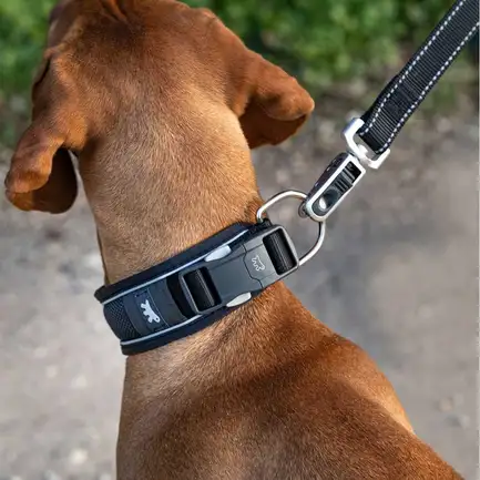 Ferplast GENIUS C25/55 RED COLLAR нейлоновий нашийник для тварин червоний: додаткове фото 4