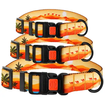 Нашийник для собак BronzeDog Urban Travel нейлоновий з пластиковою пряжкою Пустеля XL: додаткове фото 2