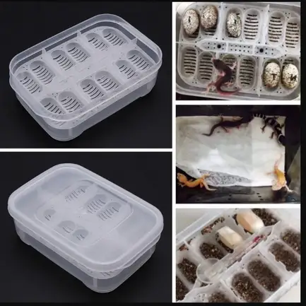 Інкубатор пластиковий на 12 яєць Terrario EggIncubator (Terrario-eggincubator): додаткове фото 9