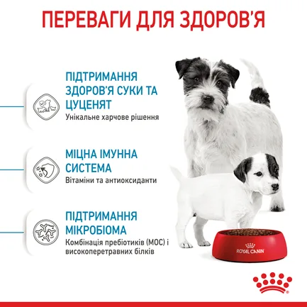 Сухий корм Royal Canin MINI STARTER для дорослих собак малих порід 8 кг: додаткове фото 5