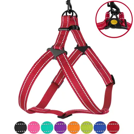 Шлея для Собак BronzeDog Active Нейлонова зі Світловідбиттям Червона L: додаткове фото 6