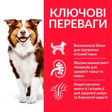 Hill’s Science Plan Mature Adult 7+ Medium Breed Сухий корм для зрілих собак середніх порід від 7 років, з куркою, 14 кг — Фото 1