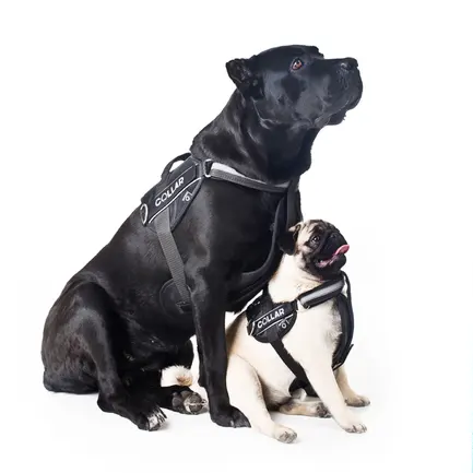 Шлея "Dog Extreme" "POLICE" №2 (В:40-60см), чорний: додаткове фото 4